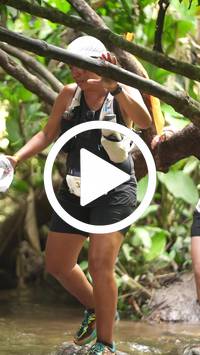 BIB:  <button type="button" onclick="openModal(27825169)" class="btn btn-primary btn-sm float-right" data-toggle="modal" data-target=".modal-high-quality">
                <i class="fa fa-download"></i> Download
                </button>